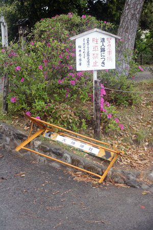 0904263.jpg