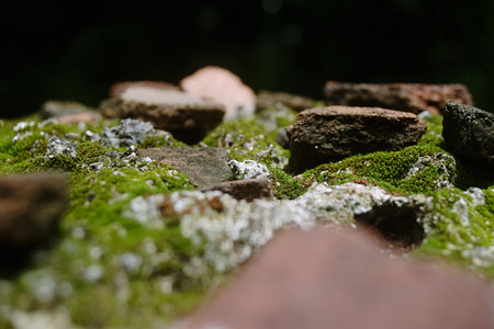 0908242.jpg