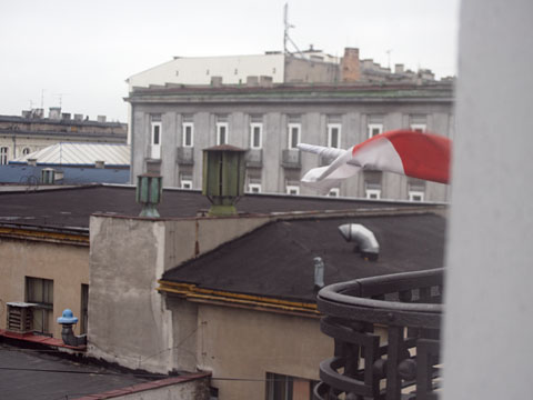 1005041.jpg