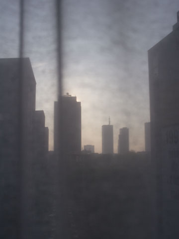 1005101.jpg