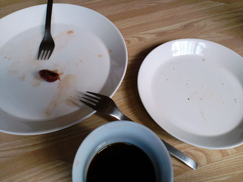 1009041.jpg