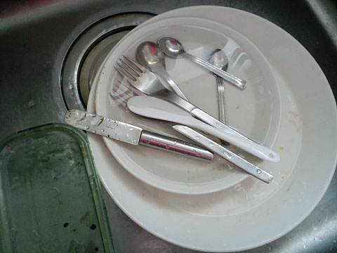 1009051.jpg
