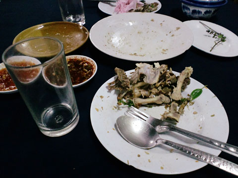 1009095.jpg