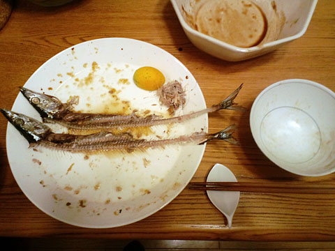 1009301.jpg