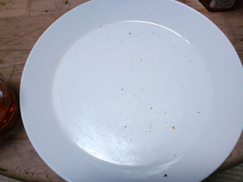 1011231.jpg