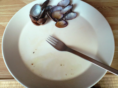 1011271.jpg