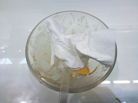 1102154.jpg