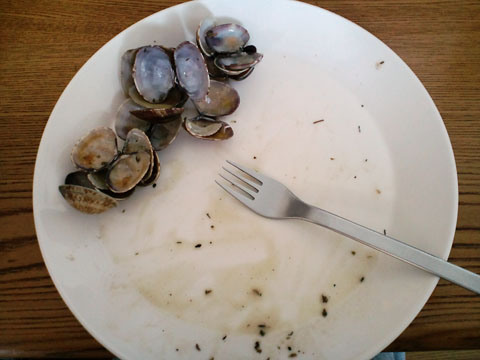 1104031.jpg