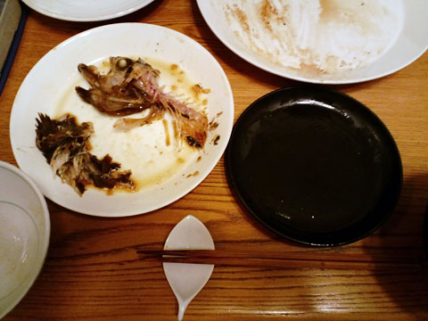 1105251.jpg