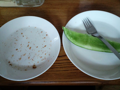 1106161.jpg
