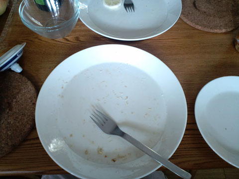 1108051.jpg