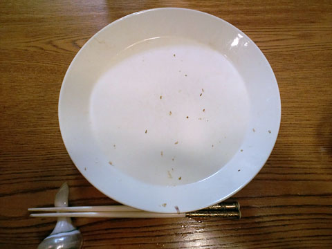 1109211.jpg