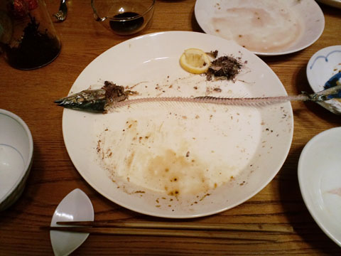 1109221.jpg