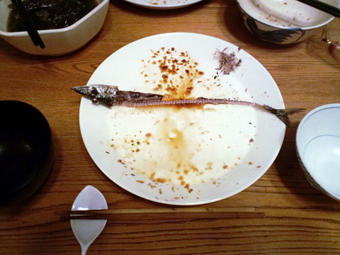 1110121.jpg